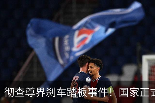 彻查尊界刹车踏板事件！国家正式下场